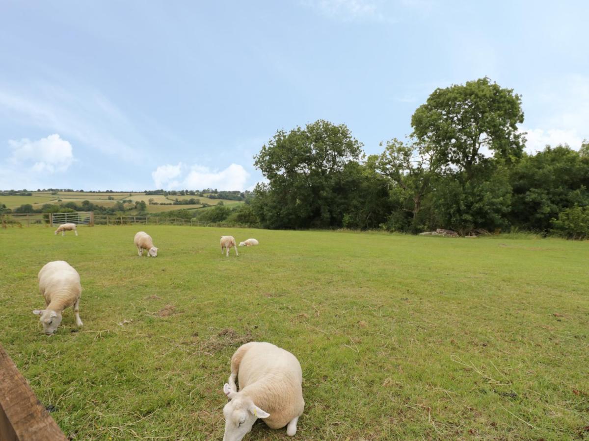 Holmer Farm Leominster Exterior photo